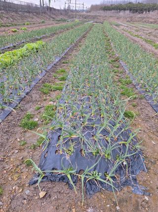 오남현님의 3월 농사 계획 같이해요 · 참여글 작성글 사진