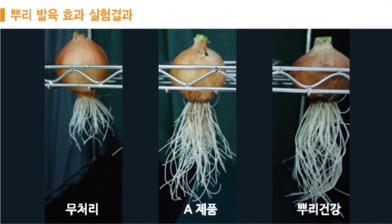 한농농약종묘사님의 장터 판매 상품 [[뿌리발근제] 1L 발근촉진제 ] 첨부 사진