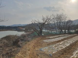 징금다리님의 3월 농사 계획 같이해요·참여글 작성글 사진