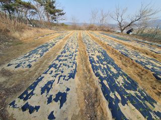 징금다리님의 3월 농사 계획 같이해요 · 참여글 작성글 사진