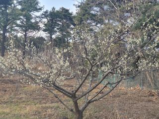 징금다리님의 3월 농사 계획 같이해요 · 참여글 작성글 사진