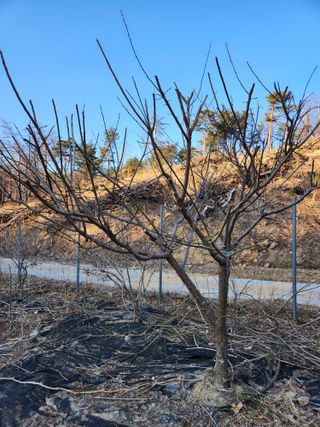 고영희님의 3월 농사 계획 같이해요·참여글 작성글 사진
