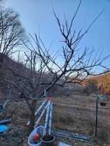 고영희님의 3월 농사 계획 같이해요·참여글 작성글 사진