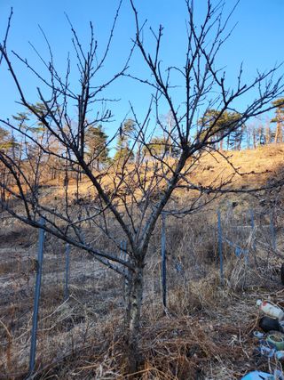 고영희님의 3월 농사 계획 같이해요 · 참여글 작성글 사진