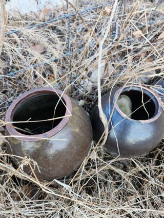 고영희님의 3월 농사 계획 같이해요 · 참여글 작성글 사진