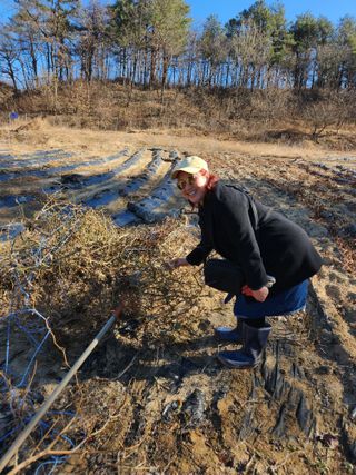 고영희님의 3월 농사 계획 같이해요 · 참여글 작성글 사진