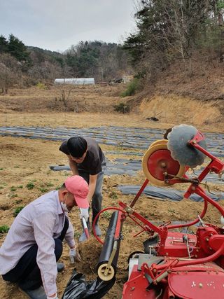 고영희님의 3월 농사 계획 같이해요 · 참여글 작성글 사진