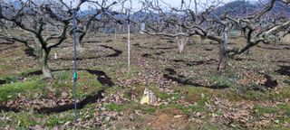 이출호님의 3월 농사 계획 같이해요·참여글 작성글 사진