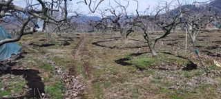 이출호님의 3월 농사 계획 같이해요 · 참여글 작성글 사진