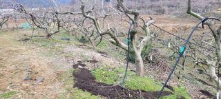 이출호님의 3월 농사 계획 같이해요 · 참여글 작성글 사진