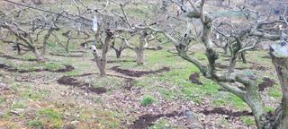 이출호님의 3월 농사 계획 같이해요 · 참여글 작성글 사진