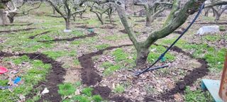 이출호님의 3월 농사 계획 같이해요 · 참여글 작성글 사진