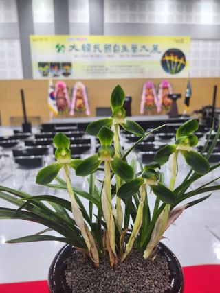 최병훈님의 자유주제 · 자유게시판 작성글 사진