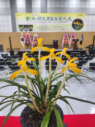 최병훈님의 자유주제 · 자유게시판 작성글 사진