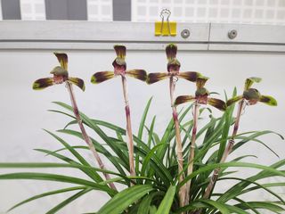 최병훈님의 자유주제 · 자유게시판 작성글 사진