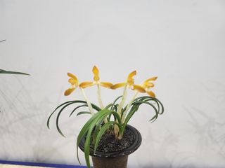 최병훈님의 자유주제 · 자유게시판 작성글 사진