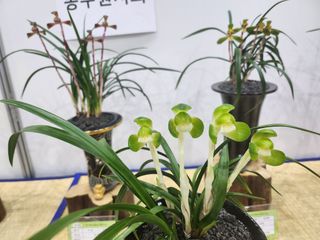 최병훈님의 자유주제 · 자유게시판 작성글 사진