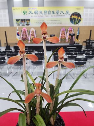 최병훈님의 자유주제 · 자유게시판 작성글 사진