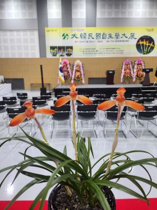 최병훈님의 자유주제 · 자유게시판 작성글 사진