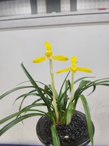 팜모닝 자유주제·자유게시판 게시글 이미지