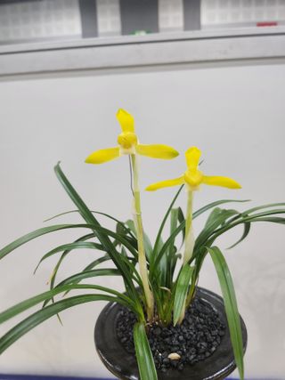 최병훈님의 자유주제 · 자유게시판 작성글 사진