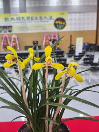 최병훈님의 자유주제 · 자유게시판 작성글 사진