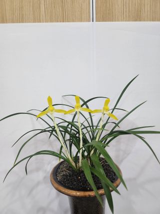 최병훈님의 자유주제 · 자유게시판 작성글 사진