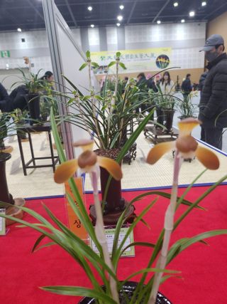 최병훈님의 자유주제 · 자유게시판 작성글 사진