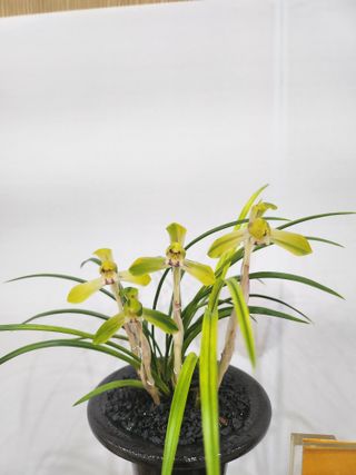 최병훈님의 자유주제 · 자유게시판 작성글 사진