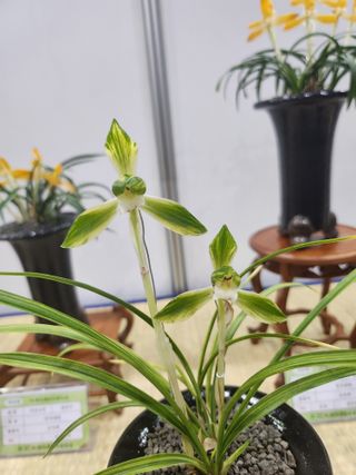 최병훈님의 자유주제 · 자유게시판 작성글 사진