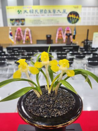 최병훈님의 자유주제 · 자유게시판 작성글 사진