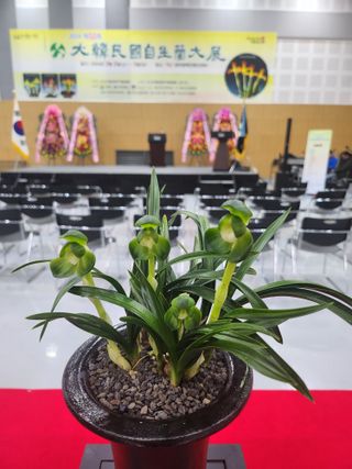 최병훈님의 자유주제 · 자유게시판 작성글 사진