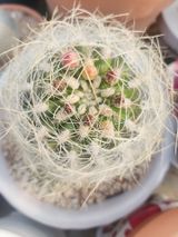 팜모닝 자유주제·자유게시판 게시글 이미지