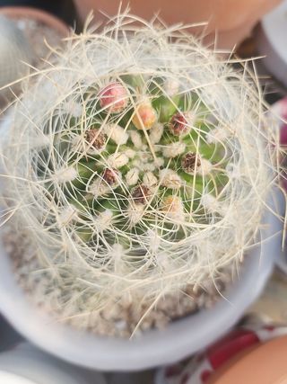 이연옥님의 자유주제 · 자유게시판 작성글 사진