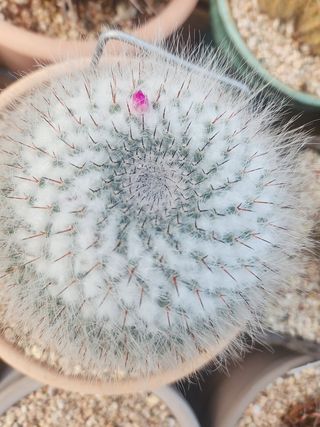 이연옥님의 자유주제 · 자유게시판 작성글 사진