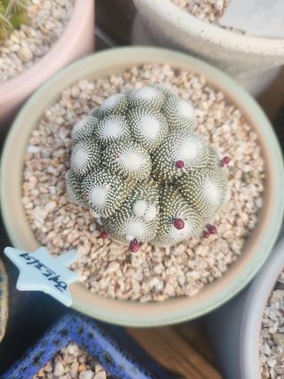 이연옥님의 자유주제 · 자유게시판 작성글 사진