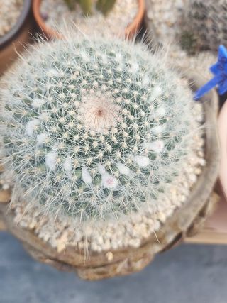 이연옥님의 자유주제 · 자유게시판 작성글 사진