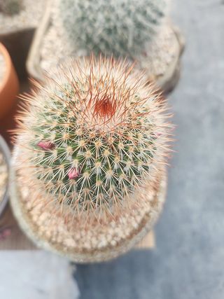 이연옥님의 자유주제 · 자유게시판 작성글 사진