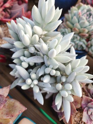 이연옥님의 자유주제 · 자유게시판 작성글 사진