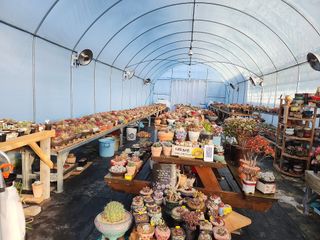 이연옥님의 자유주제 · 자유게시판 작성글 사진