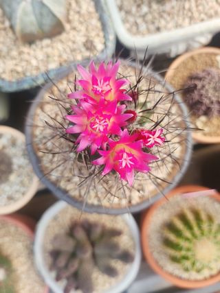 이연옥님의 자유주제 · 자유게시판 작성글 사진