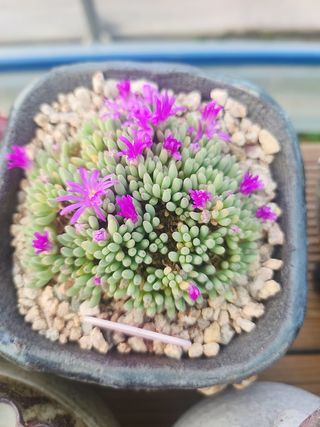 이연옥님의 자유주제 · 자유게시판 작성글 사진