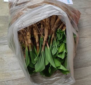 황덕순 님의 기타작물 · 자유게시판 작성글 사진