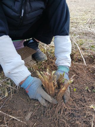 황덕순 님의 기타작물 · 자유게시판 작성글 사진