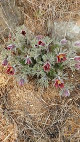 팜모닝 자유주제·자유게시판 게시글 이미지