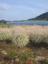 팜모닝 · 게시글 이미지