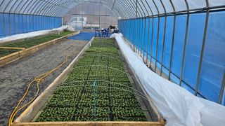 향적농원(정은상)님의 3월 농사 계획 같이해요 · 참여글 작성글 사진