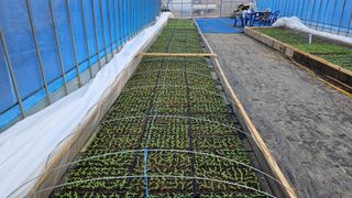 향적농원(정은상)님의 3월 농사 계획 같이해요 · 참여글 작성글 사진