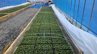 향적농원(정은상)님의 3월 농사 계획 같이해요 · 참여글 작성글 사진