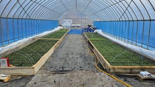 향적농원(정은상)님의 3월 농사 계획 같이해요 · 참여글 작성글 사진